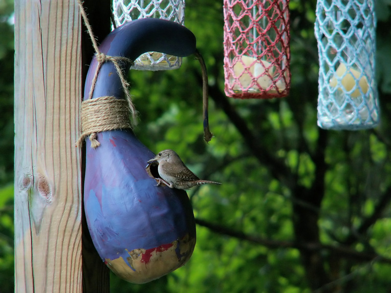 Sparkling Spaces: The Pre-Party Cleaning Checklist to Try