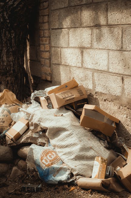 When same day rubbish removal is possible in Wallington